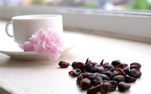 Lợi ích sức khỏe của Trà cascara