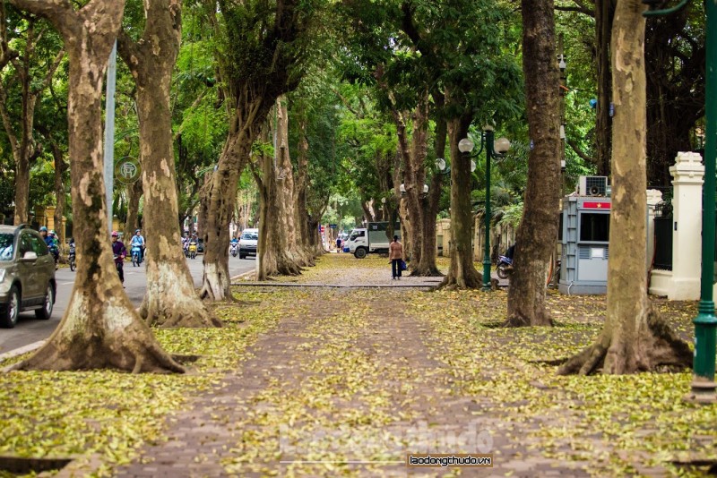 Phố Phan Đình Phùng