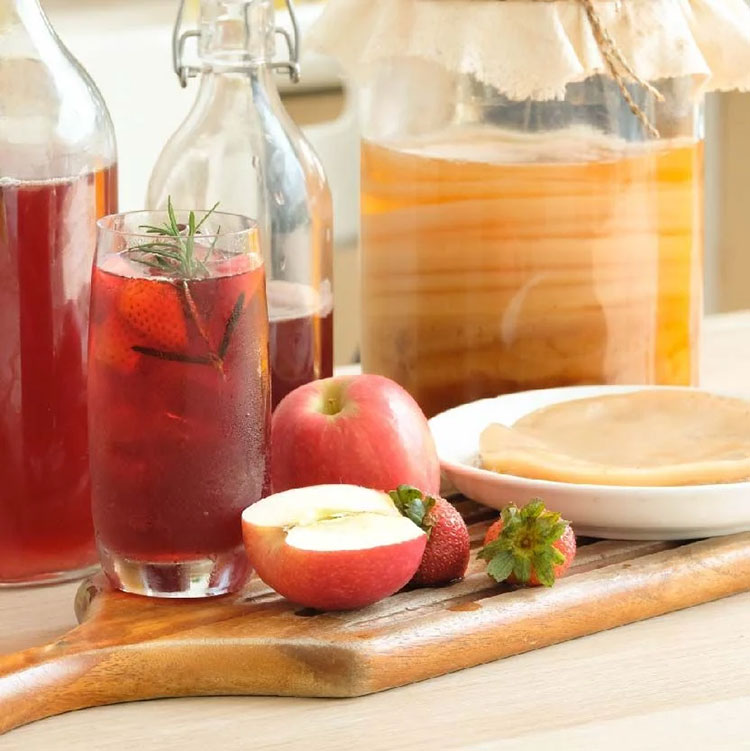 Các Bước Thực Hiện Kombucha Táo