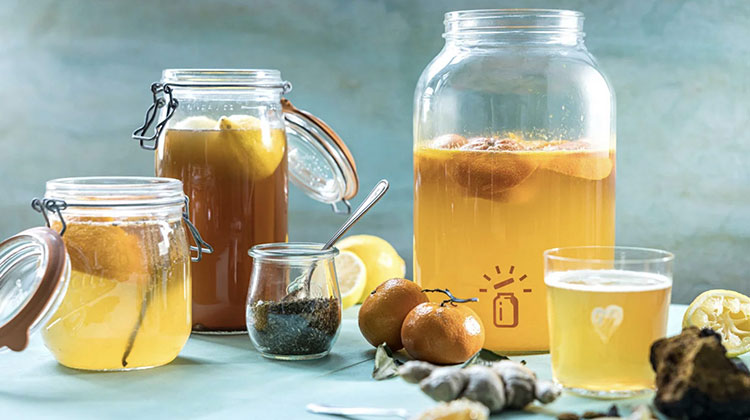 Các Bước cách Làm Kombucha Trái Cây