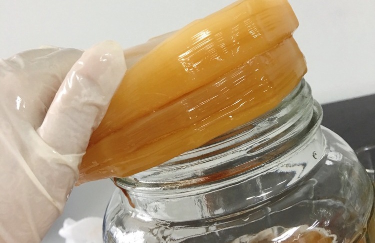 Các bước cách làm Kombucha không cần Scoby