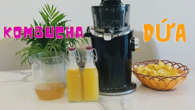 Cách làm kombucha dứa thơm ngon đơn giản tại nhà