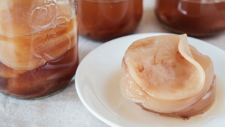 Cách làm kombucha không cần scoby