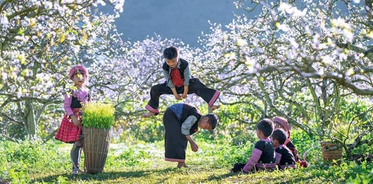 Khám phá lễ hội truyền thống độc đáo ở Mộc Châu