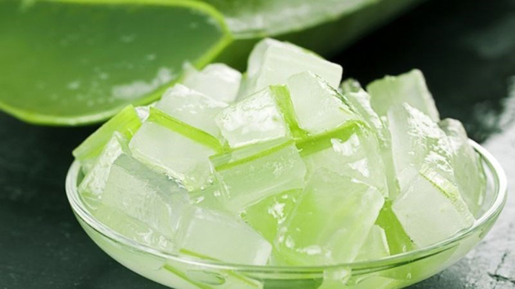 3 Cách bảo quản nha đam đã sơ chế gọt vỏ và làm sạch