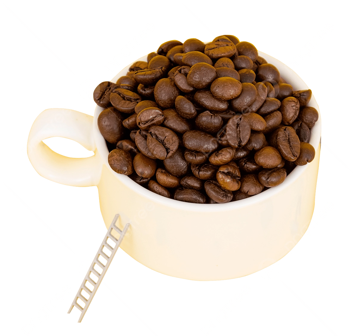 Nguyên liệu cà phê trứng