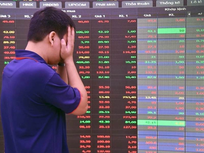 buổi hỏi đáp nhà đầu tư về Kafa Cafe