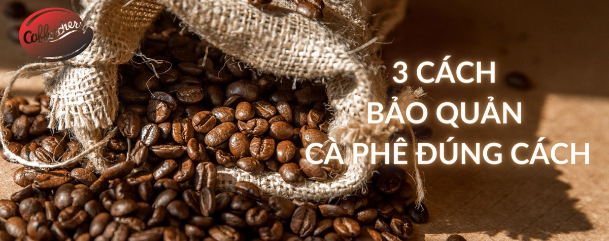 Bảo quản cà phê trứng