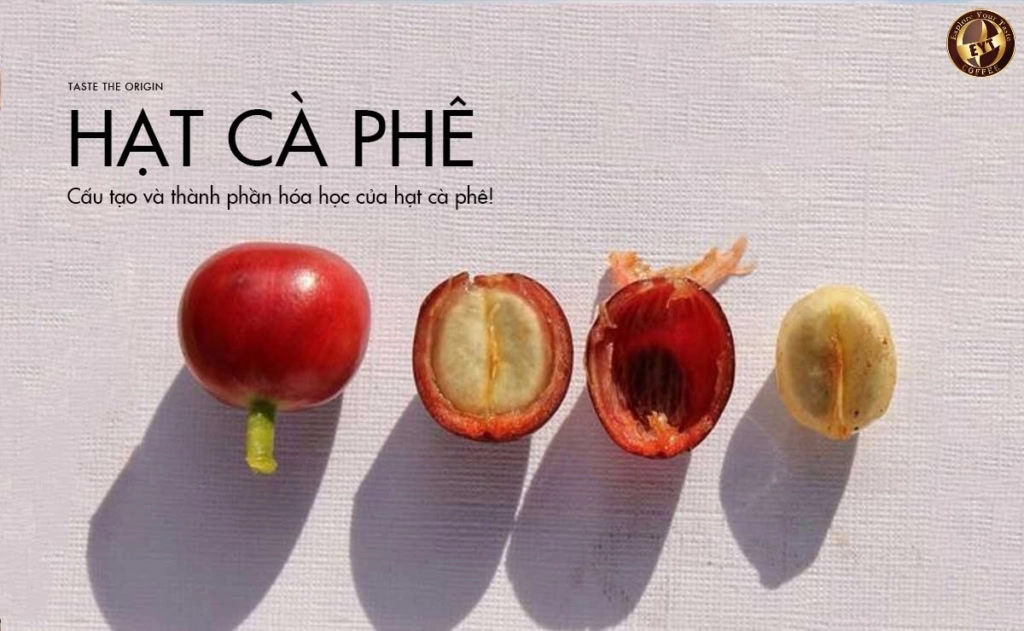 thành phần dinh dưỡng ước tính trong cà phê trứng một ly