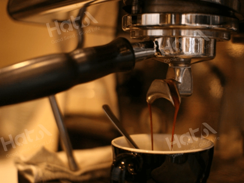 bo dung cu pha ca phe trung co ban