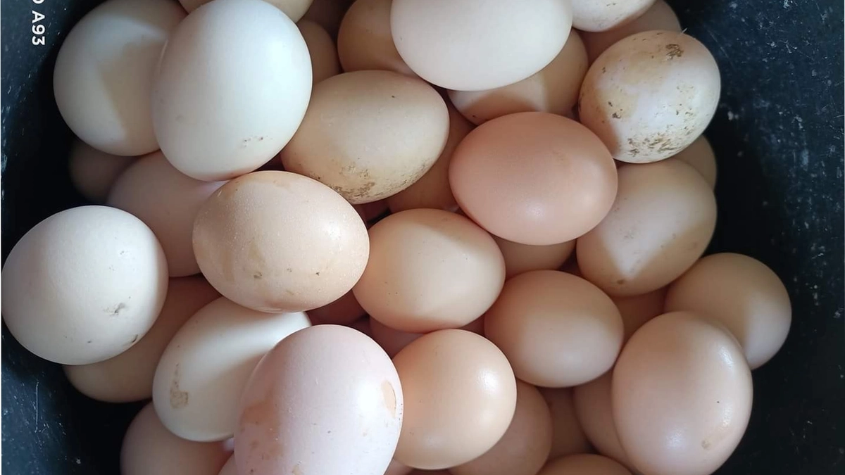 trứng gà tươi sạch và nhiệt kế bếp để bàn