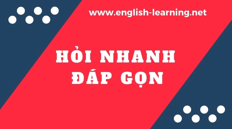 hỏi đáp nhanh về cafe trứng Feedy