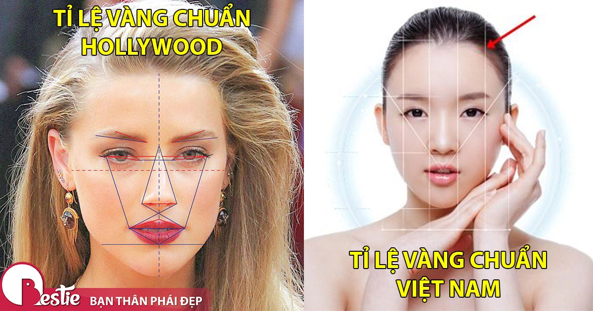 tỷ lệ vàng cafe trứng kiểu Feedy