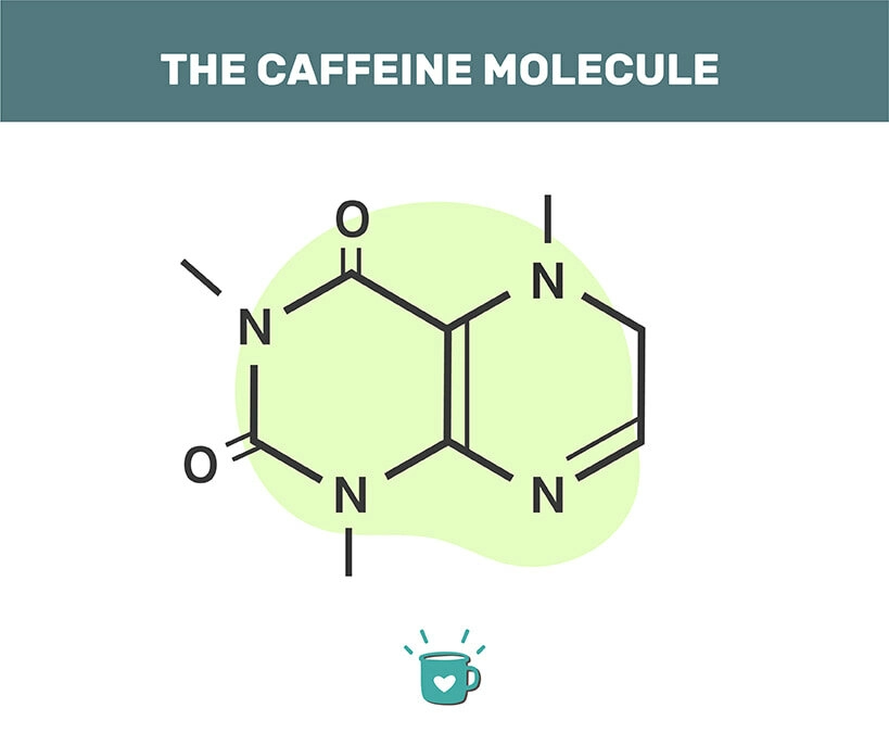 thông tin dinh dưỡng cafe trứng và caffeine