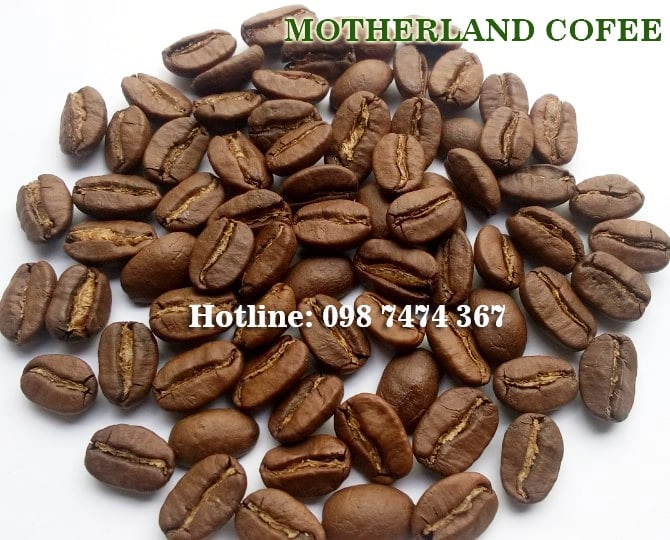 hạt Arabica Đà Lạt rang medium thơm