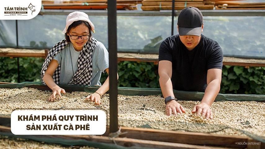 hành trình khám phá cà phê trứng Việt Nam