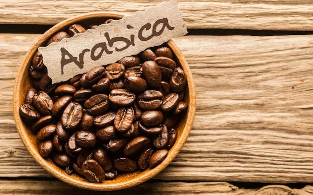 hạt arabica cầu đất và robusta tây nguyên