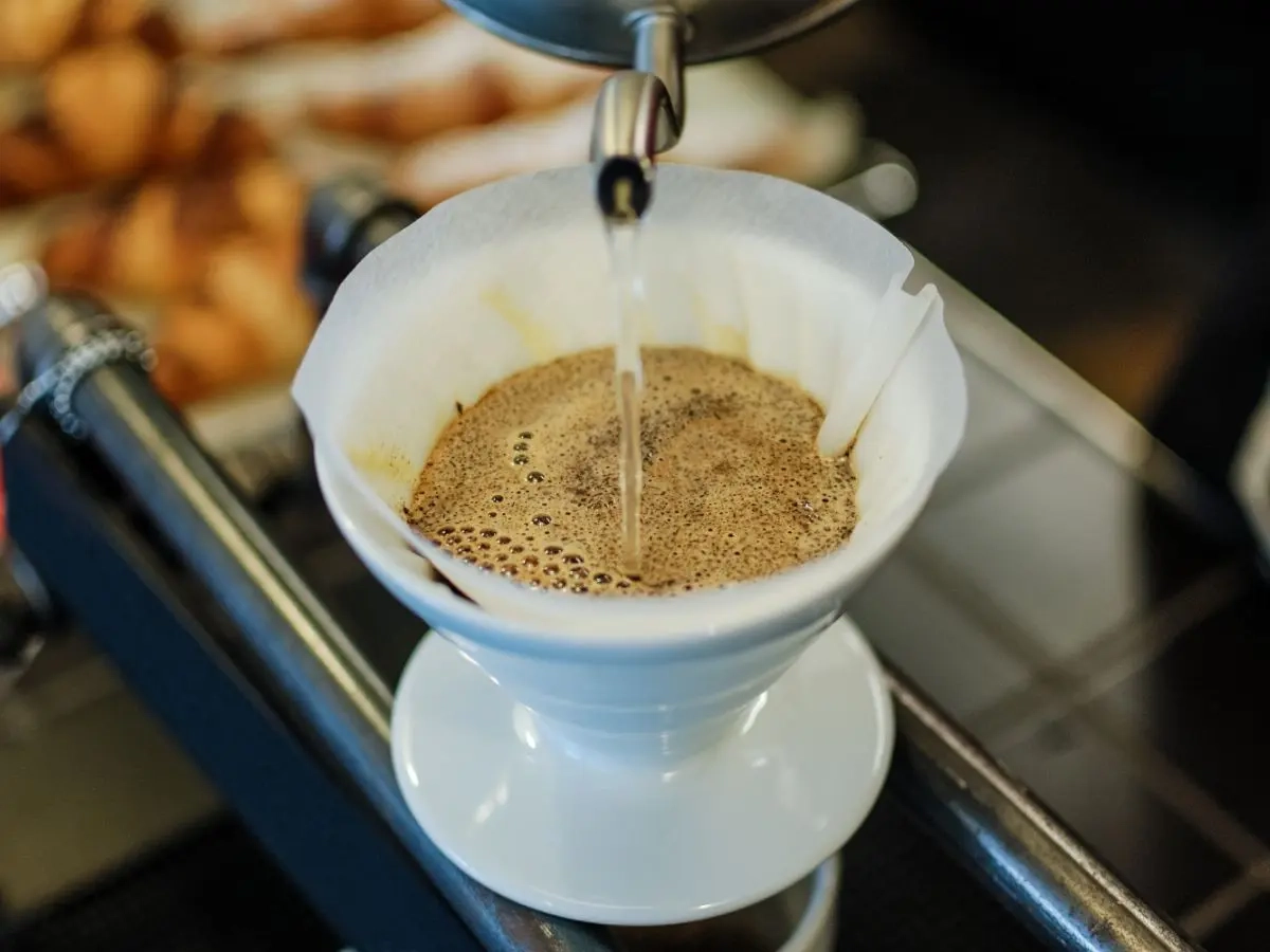 biểu đồ gu cà phê pour over Hario V60