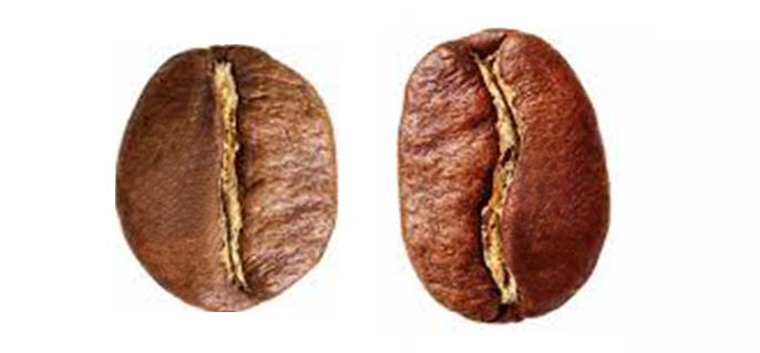 chọn cà phê robusta Cầu Đất và trứng gà ta
