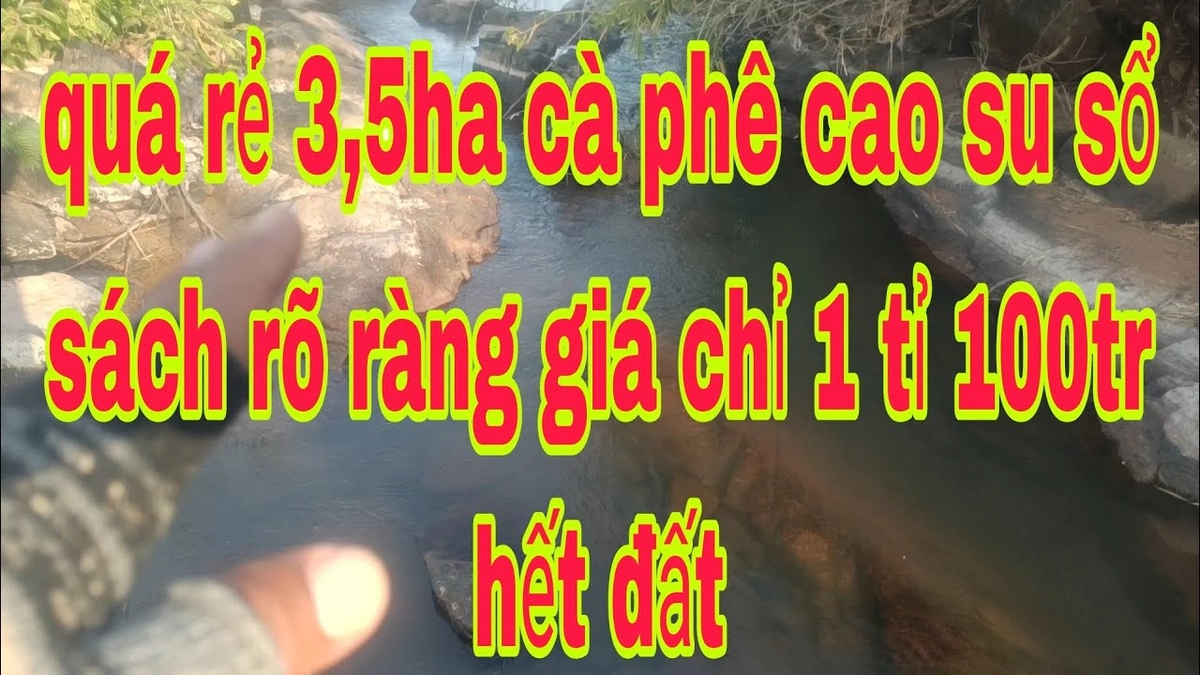 danh sách kiểm cà phê làm quà rõ ràng