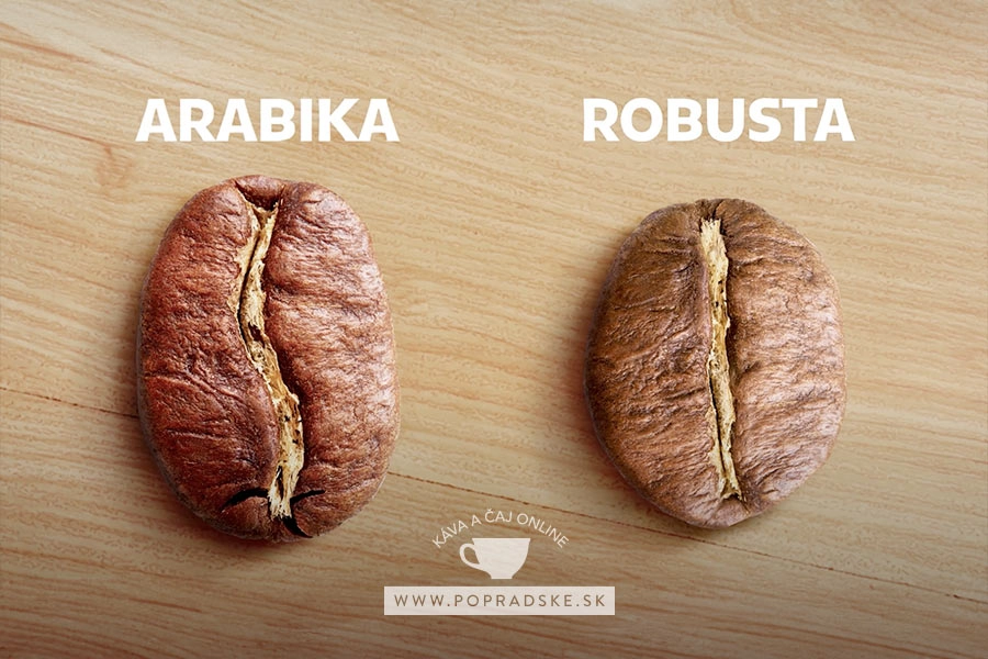 Hạt Arabica Đà Lạt và Robusta Buôn Ma Thuột