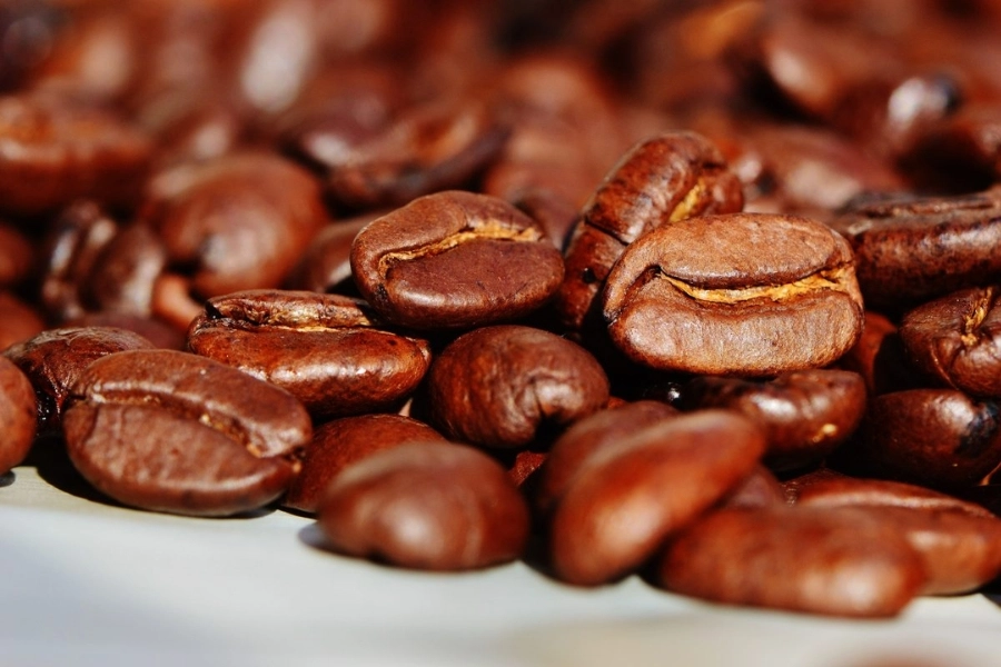 hạt arabica robusta Đắk Lắk Cầu Đất