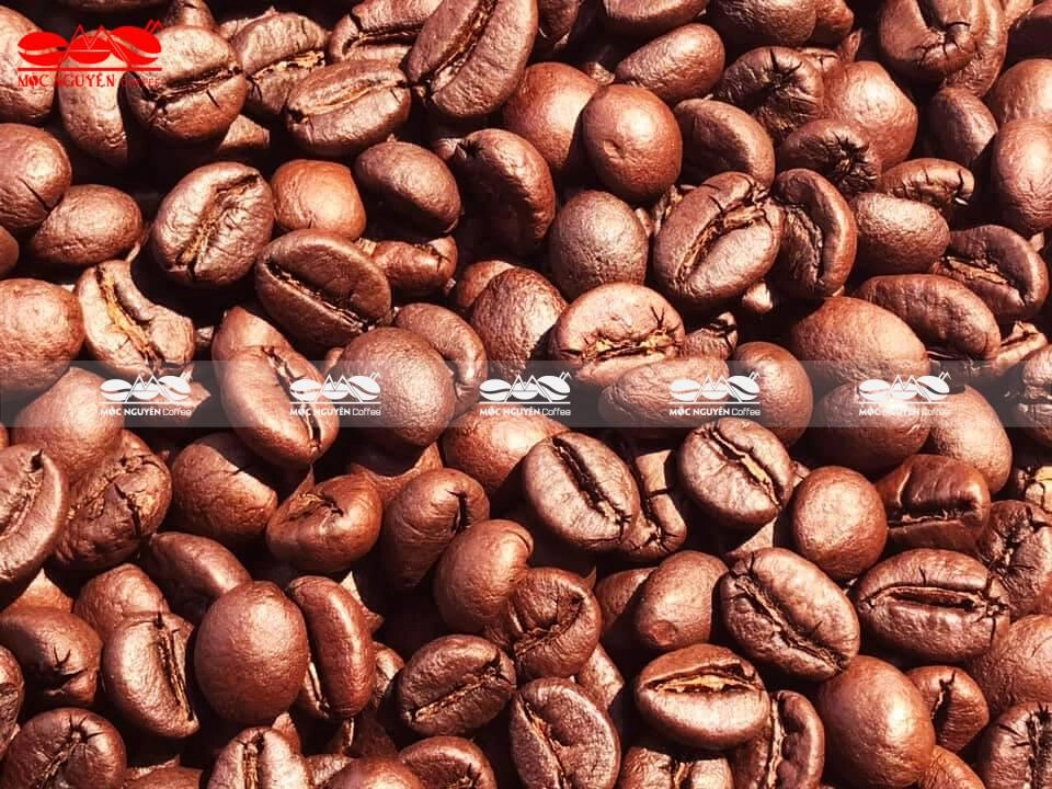 hạt cà phê Arabica Robusta rang vừa thơm