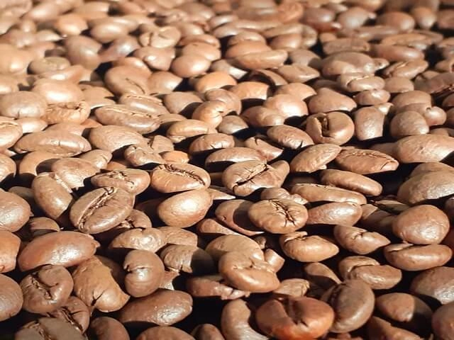 hạt robusta rang vừa và trứng gà tươi
