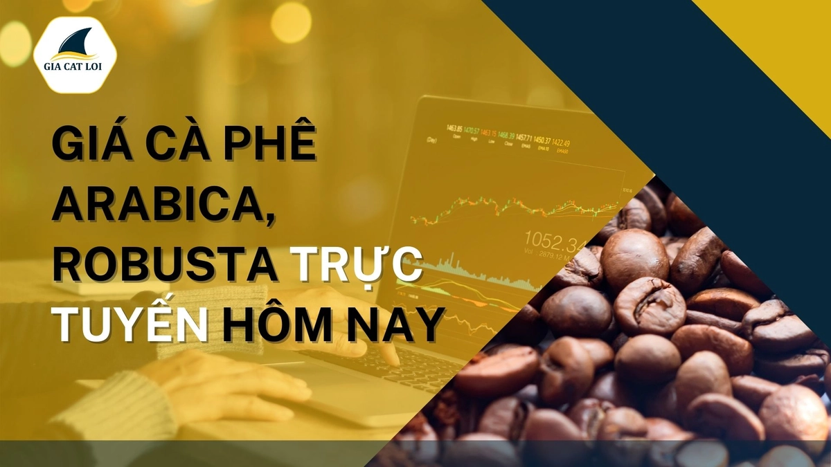 hộp quà cà phê tuyển chọn Arabica Đà Lạt