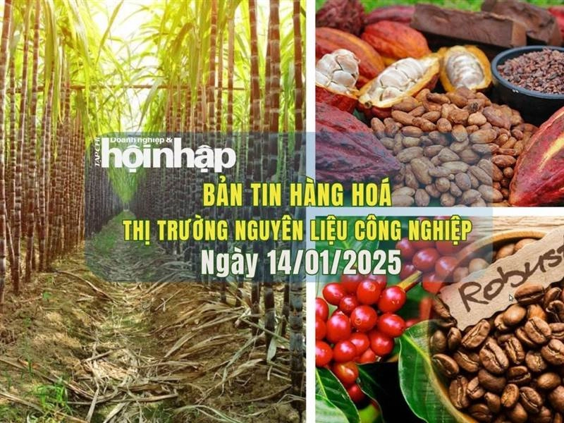 khay nguyên liệu cà phê trứng đủ định lượng