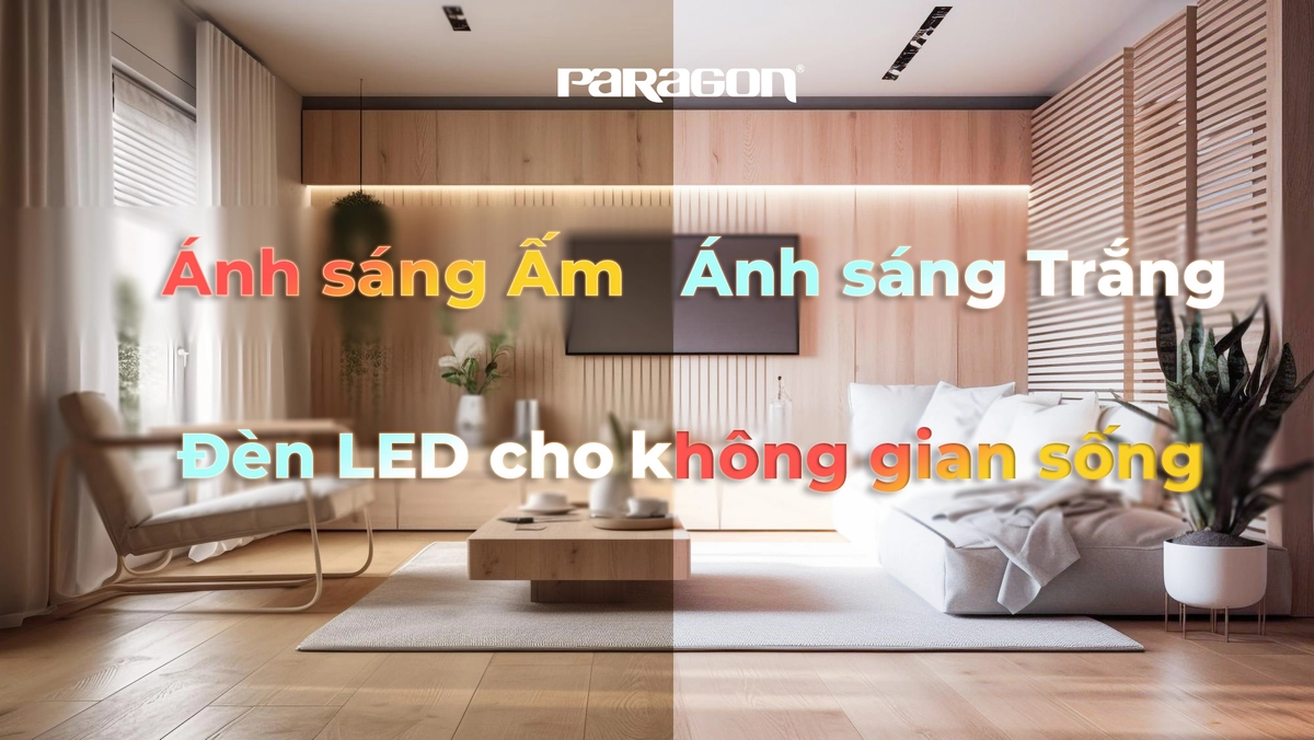 ly cà phê Napoli Coffee trên bàn gỗ ánh sáng ấm