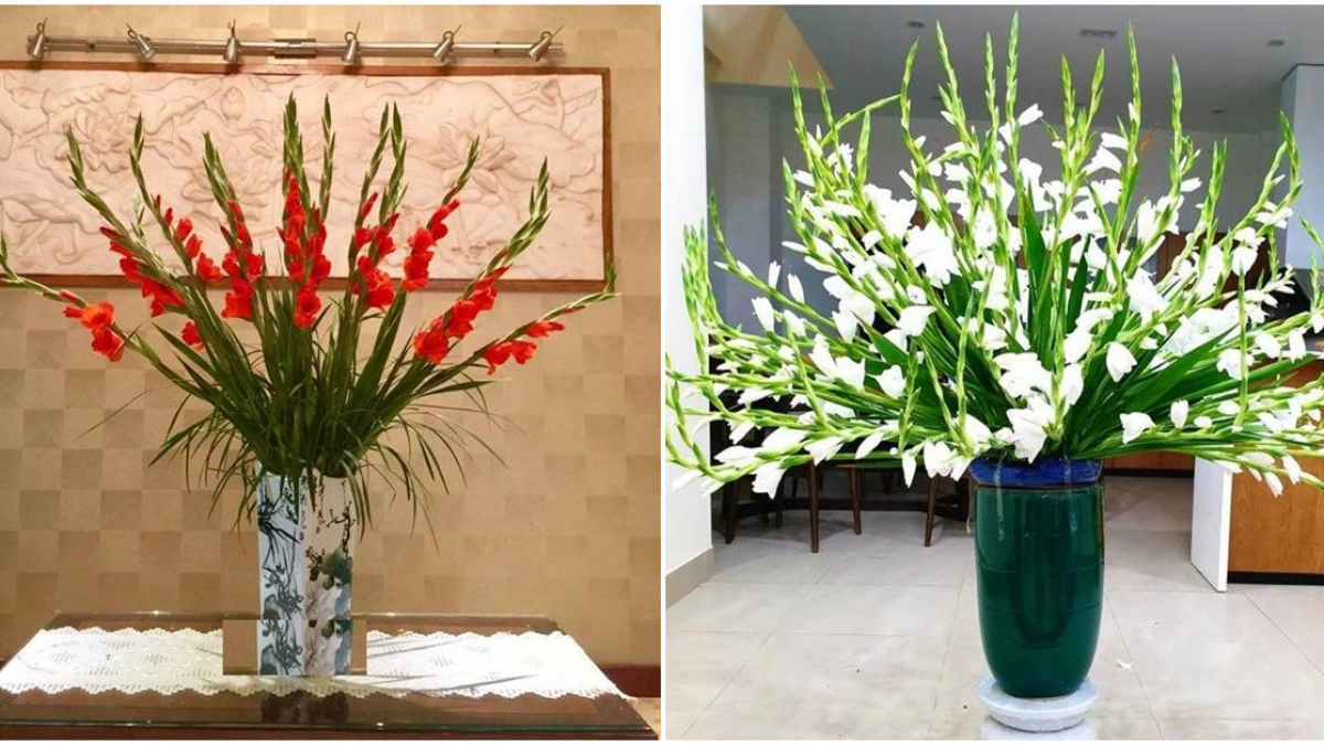 Ly gốm Hasami và bình Fellow Atmos