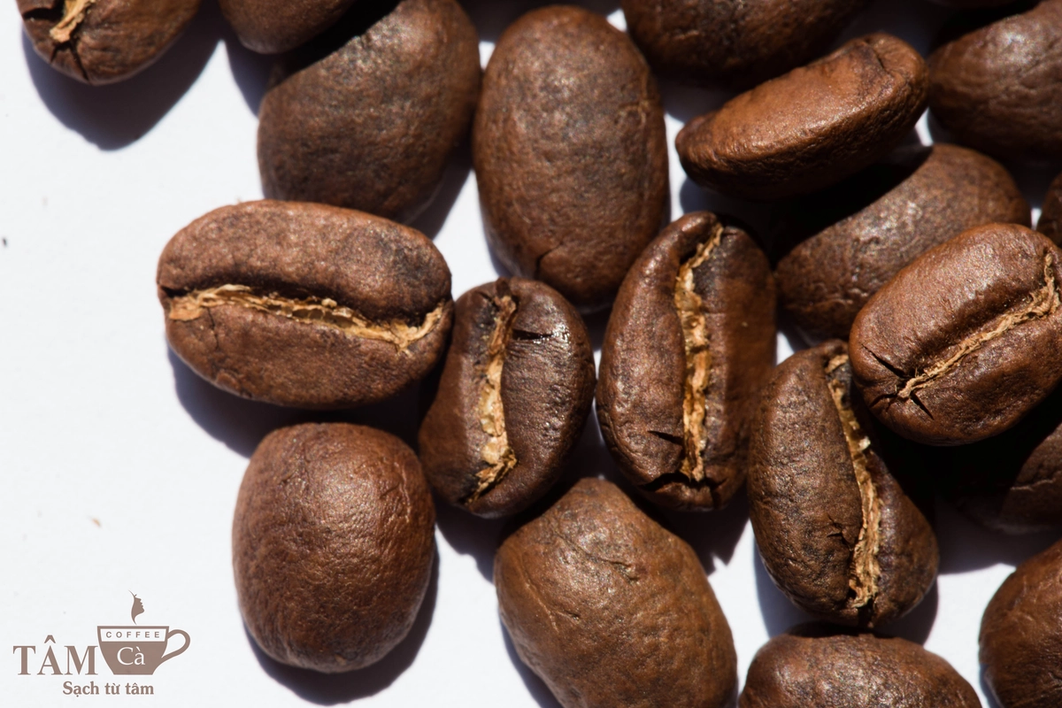 nguyên liệu cà phê Arabica Đà Lạt và trứng gà ta