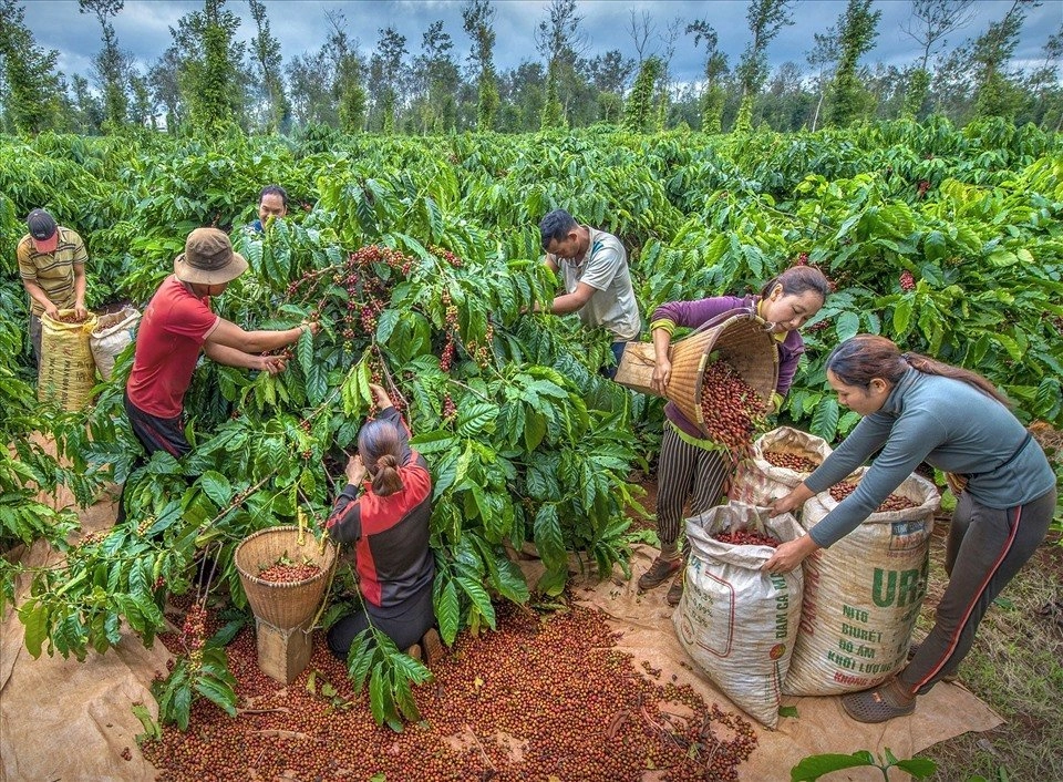 nguyên liệu làm cà phê trứng muối bày gọn gàng