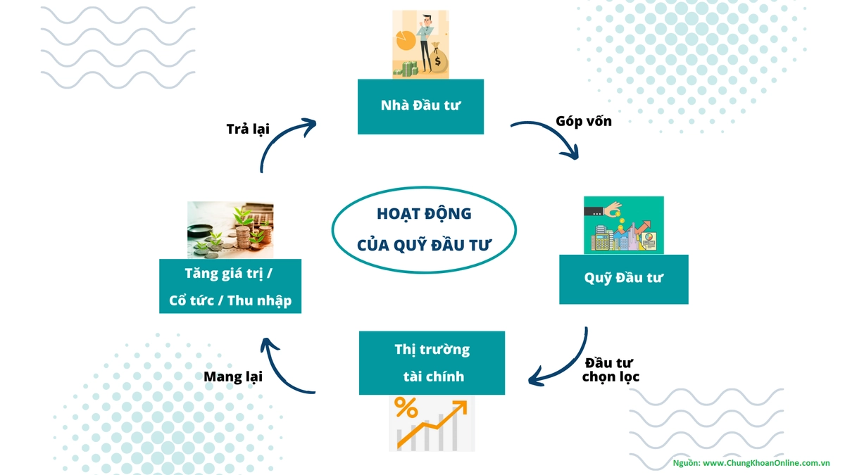 Phiên hỏi đáp nhà đầu tư với Cafe Xanh