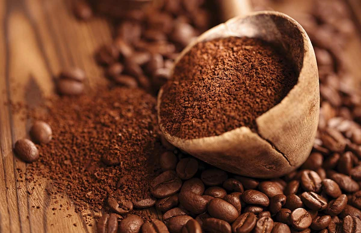 rang xay và cupping cà phê nguyên chất tại xưởng
