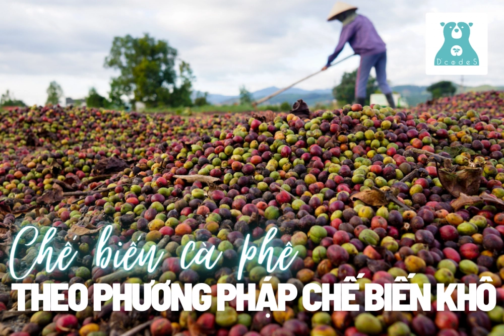 sơ đồ quy trình nhượng quyền cà phê
