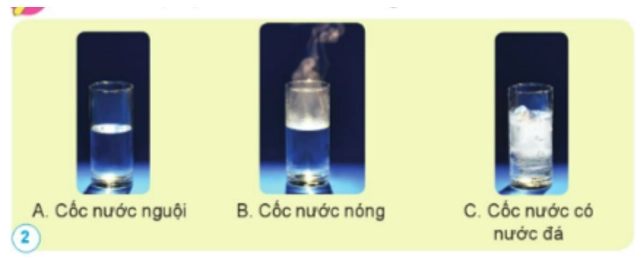 so sánh cốc đo tốc độ giữa hai thiết bị nhà bếp