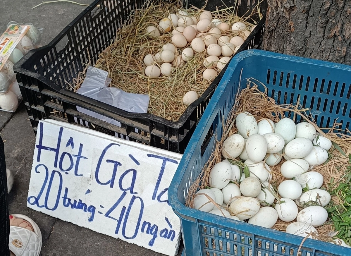 Trứng gà ta mới đẻ được vệ sinh kỹ