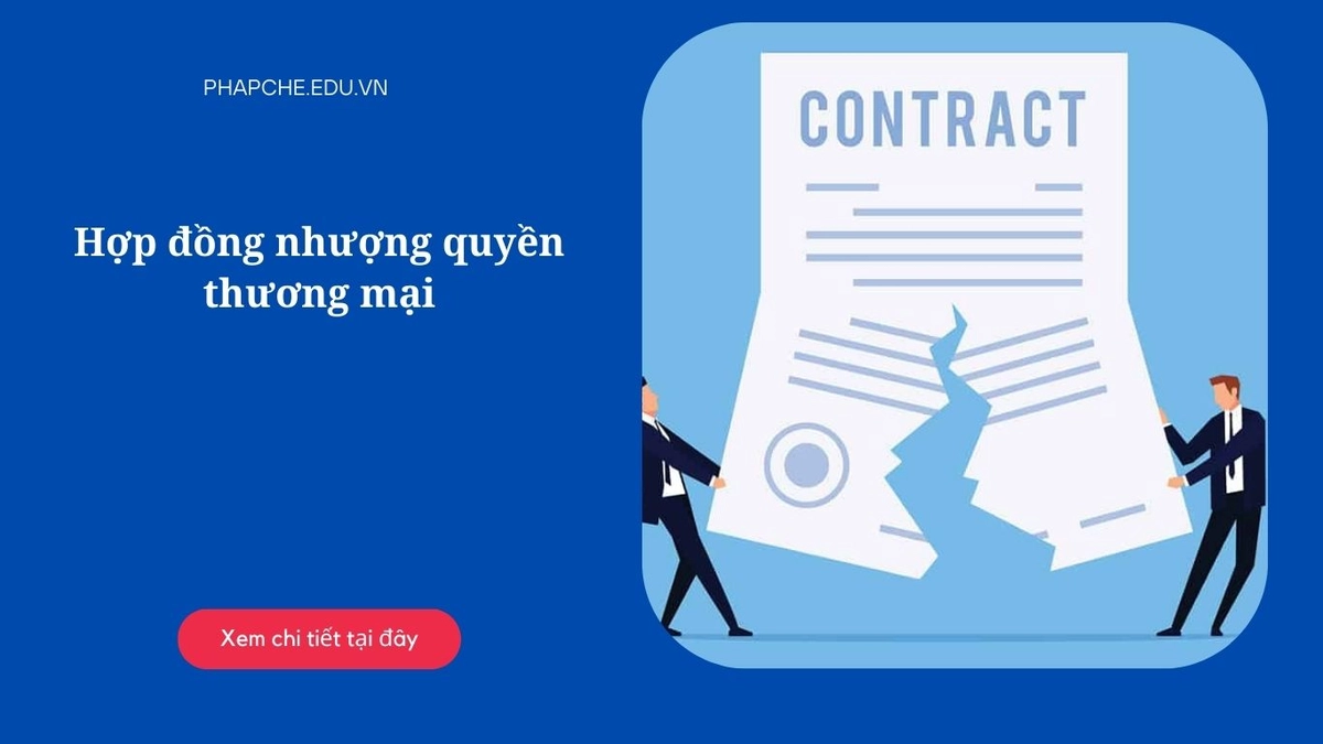 xem xét hợp đồng nhượng quyền Ông Bầu cẩn trọng